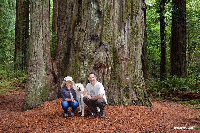 Family photo in the redwood forest