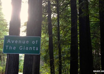 California Rv Show >> Walking among giants: the magical California Redwoods - RV Love California Rv Show >> Walking among giants: the magical California Redwoods - RV Love