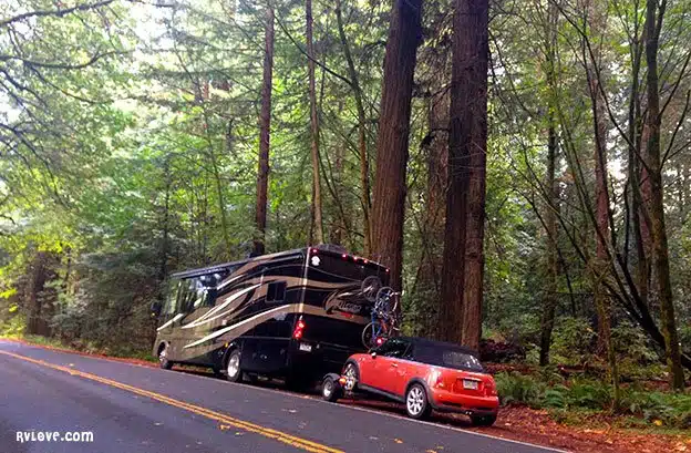 motorhome and mini cooper on side of road at avenue of the giants