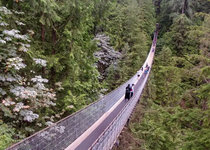 people walking over suspension bridge in BC canada
