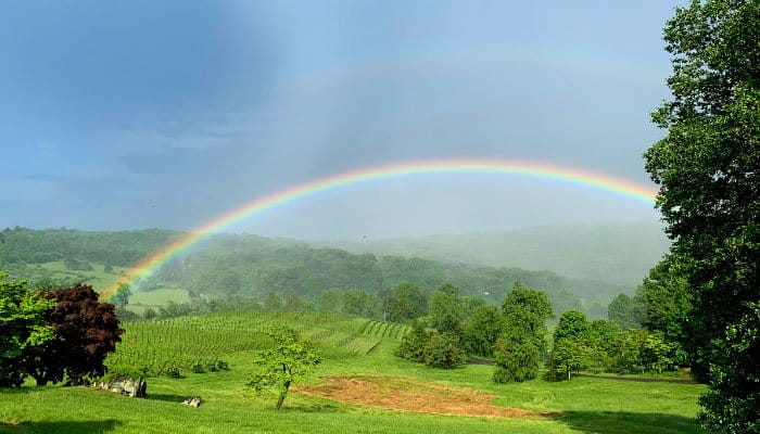 double rainbow over winery fields of linden winery in virginia