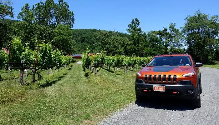 Jeep next to ducard winery vines