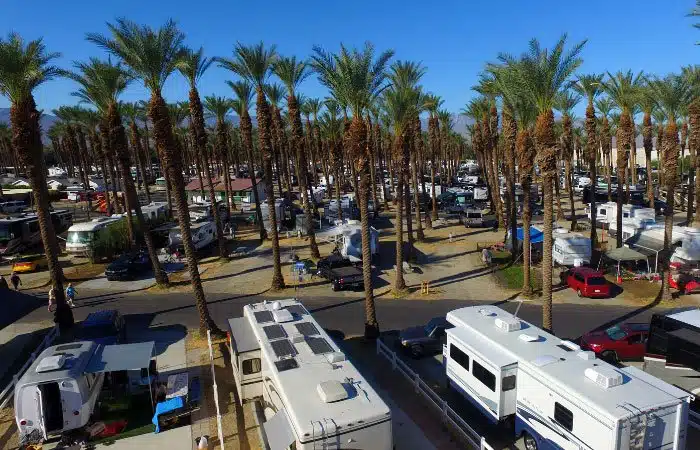 Aerial view of RVs in a campground filled with palm trees