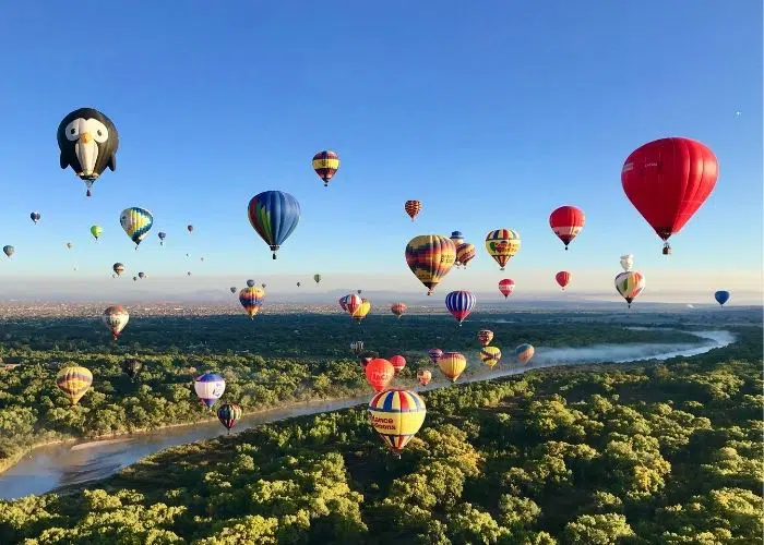 can u take dogs into balloon festival