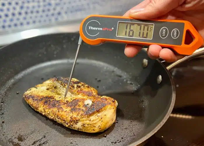 thermopro meat thermometer testing chicken