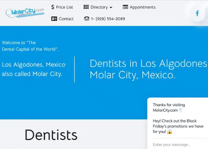 website image for molar city