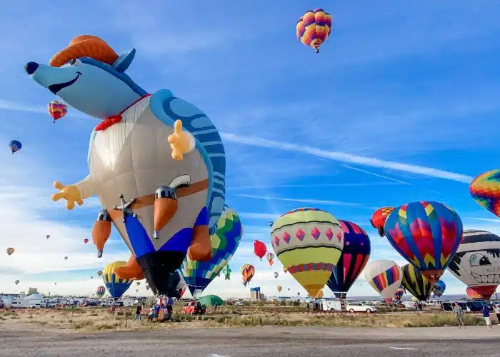 armadillo hot air balloon