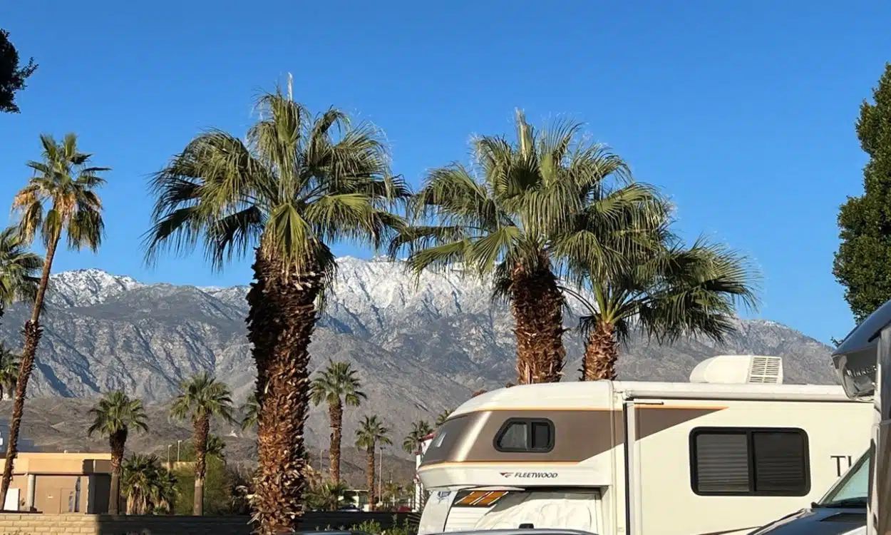 Palm trees snow capped mountains at RV Oasis RV Resort Cathedral City CA