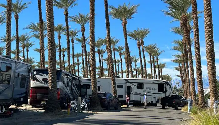 distant view of rv accident in rv park with hundreds of palm trees