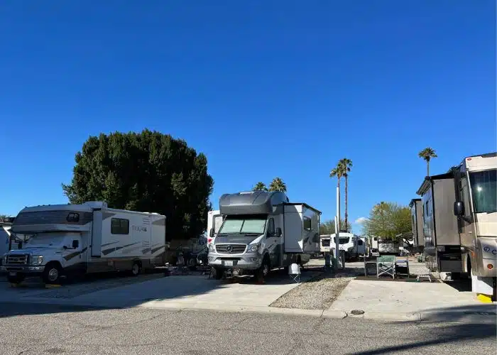 motorhomes parked in campsites at palm springs oasis