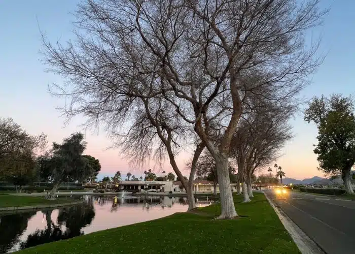 trees reflect in water at dusk date palms country club