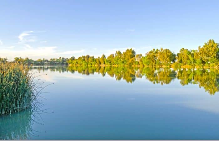 Lake Minden daytime smooth lake reflection