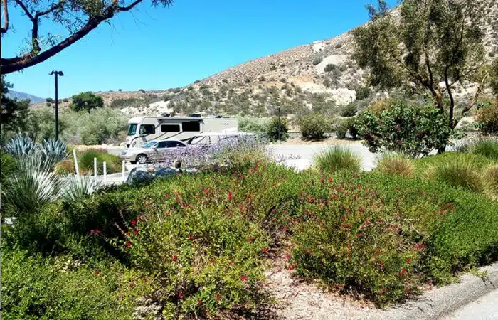 Soledad Canyon RV park nice landscaping