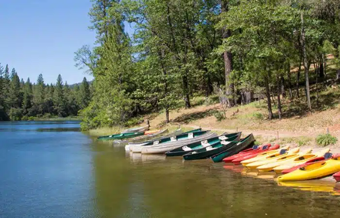 lake of springs kayaks on the lake