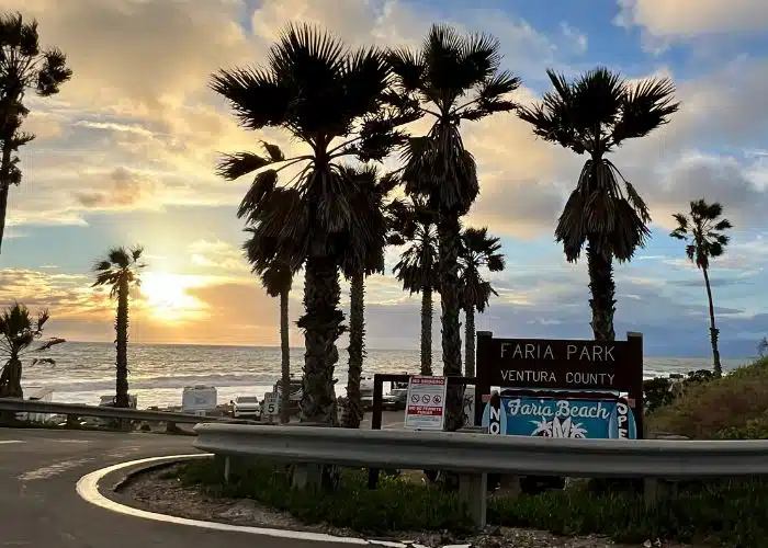 sunset palm trees at faria park sign