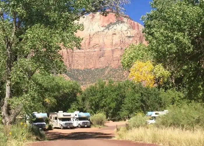 class c rental RVs parked in campsites at zion national park trees and red rocks behind