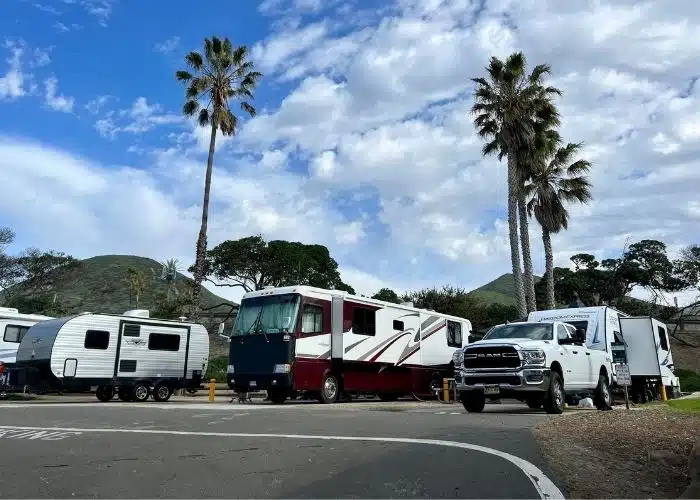 rvs parked in campsites with palm trees blue skies and clouds above