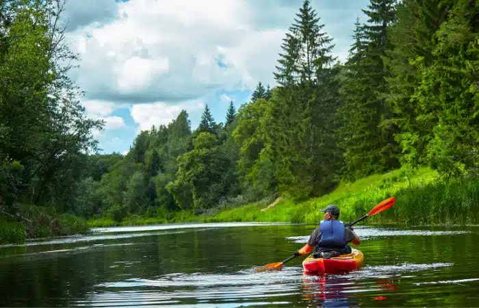 person kayaking green trees all around