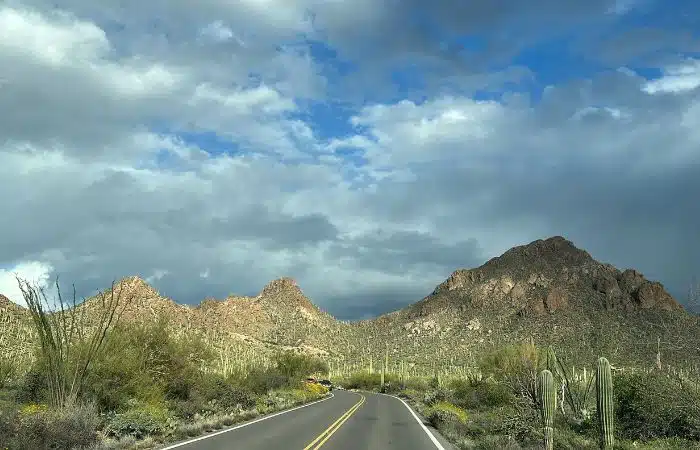 driving tucson saguaro national park