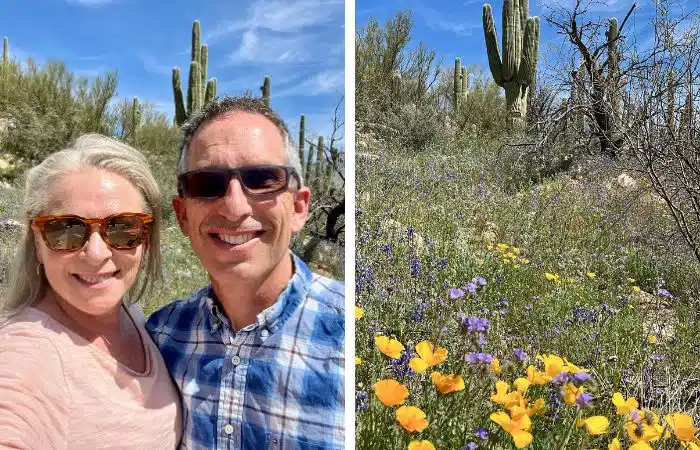 split photo desert bloom hike in Tucson