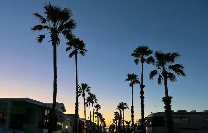 sunset palm trees at voyager rv resort tucson