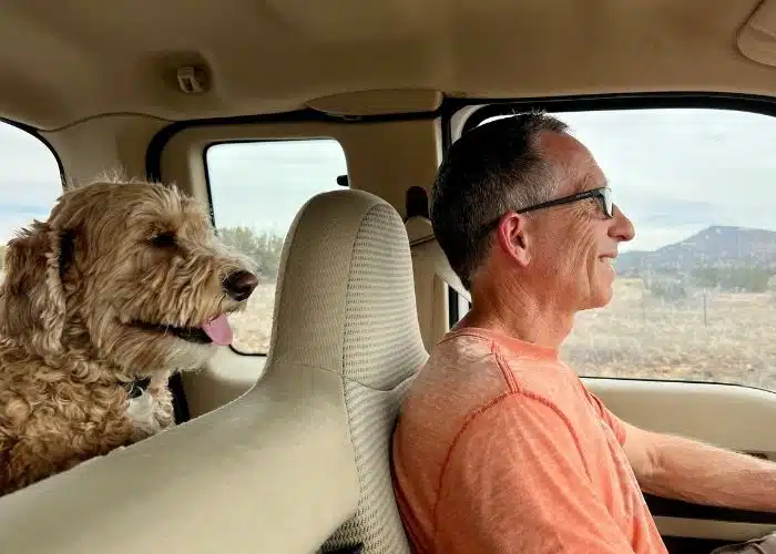 marc smiles and drives with sunny pup in back smiling