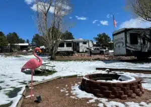 pink flamingo by firepit at campground with snow on ground and rvs behind